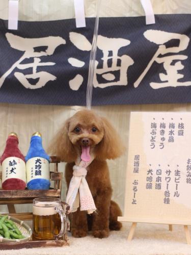 20240612このはちゃん